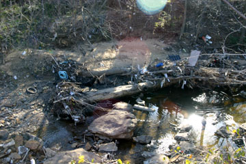 files\2007-02-28\feature_pic4_2-28.jpg