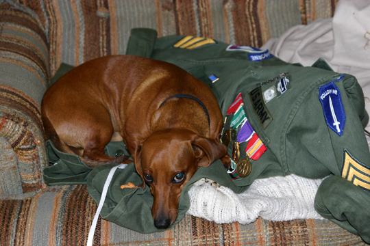 files\2008-10-01\dog_2.jpg
